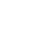 flying type's icon